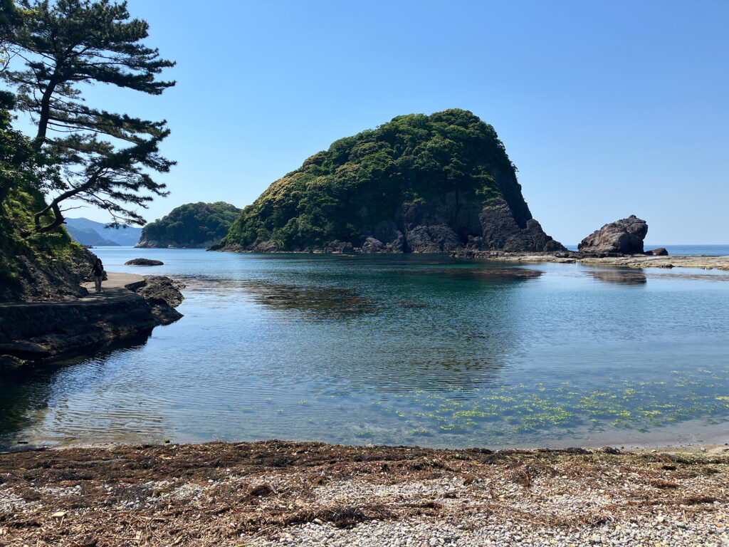 清掃後の海岸は見違えるほど美しくなり、今子浦の名物である「かえる島」も、どこか嬉しそうに見えました。